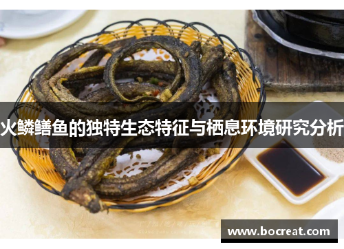 火鳞鳝鱼的独特生态特征与栖息环境研究分析